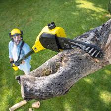 Best Firewood Processing and Delivery  in Lincoln Village, CA